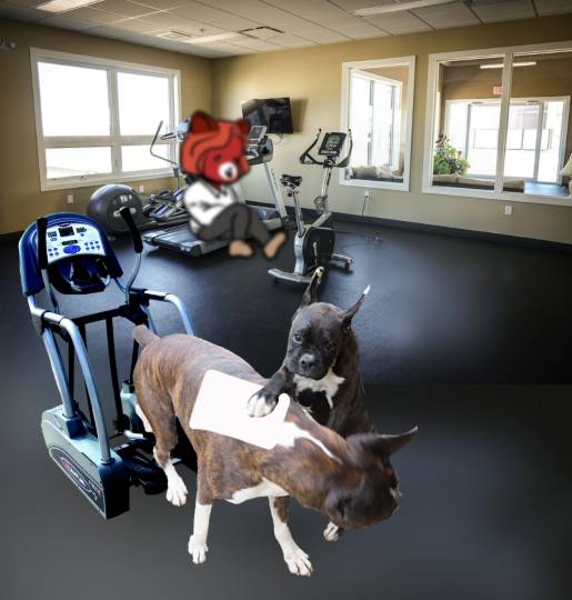 生き物ルーム第14