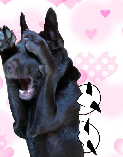 EGG&#039;S CAFE 　イイ子にしてたらプレゼントあるよな？