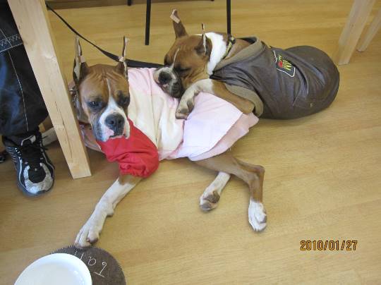 生き物ルーム第14