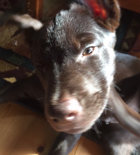 EGG&#039;S CAFE 　イイ子にしてたらプレゼントあるよな？