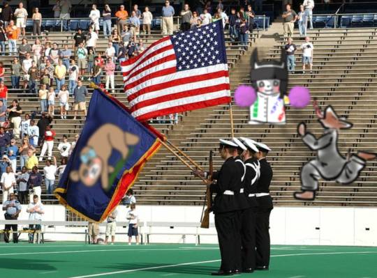 生き物ルーム第14