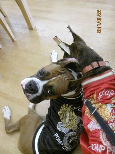 生き物ルーム第14