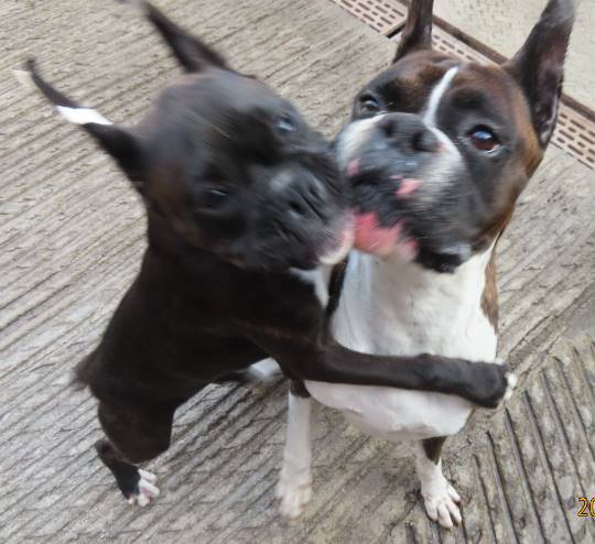 生き物ルーム第14