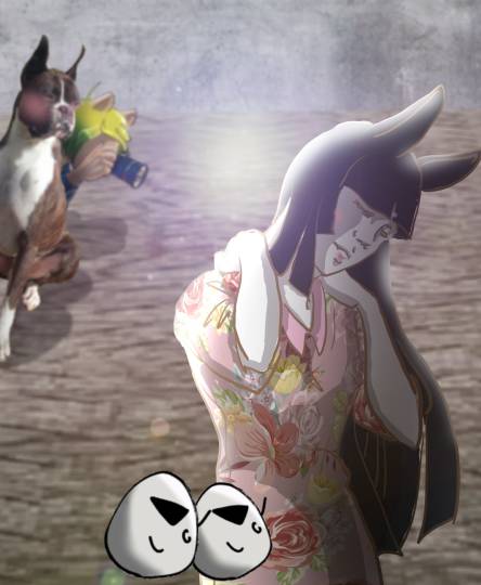 生き物ルーム第14