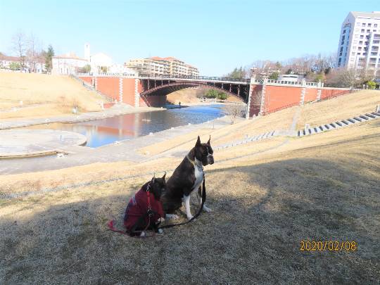 生き物ルーム第14