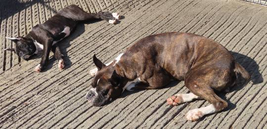 生き物ルーム第14