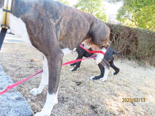 生き物ルーム第14