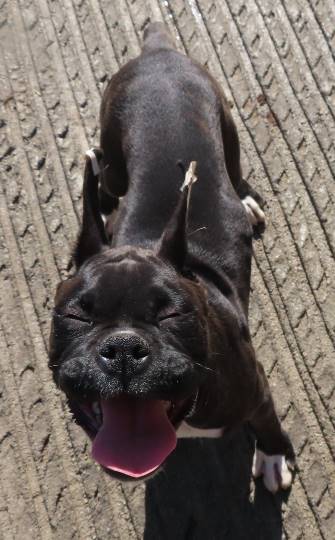 生き物ルーム第14