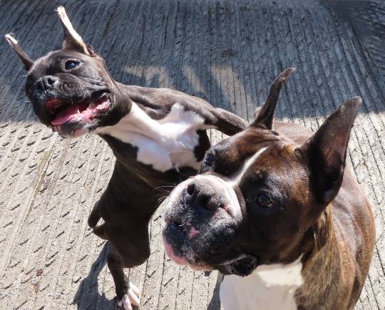 生き物ルーム第14