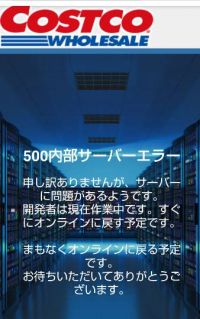 オンライン、サーバーエラー