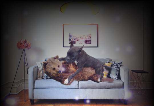 EGG&#039;S CAFE 　俺達かわいいコストコ通の寄生卵