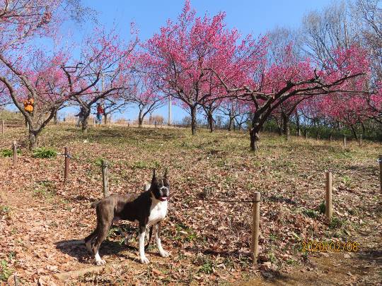 生き物ルーム第14