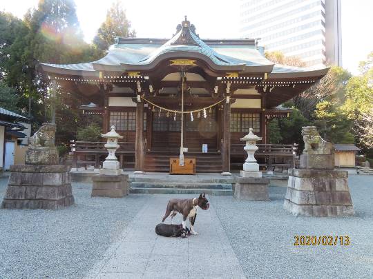 生き物ルーム第14