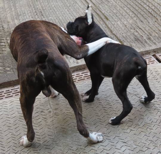 生き物ルーム第14