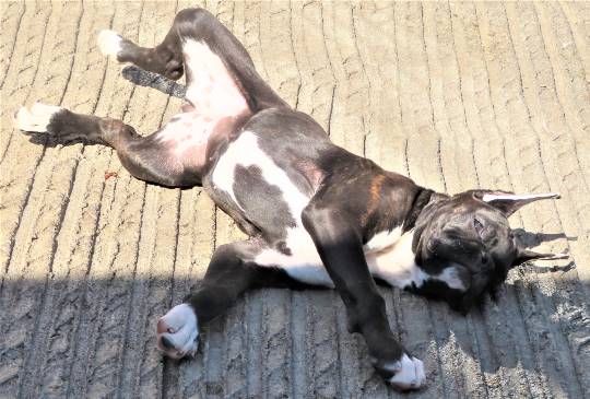 生き物ルーム第14