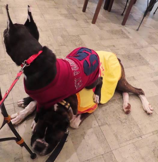 生き物ルーム第14