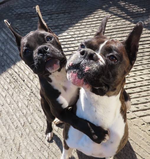 生き物ルーム第14