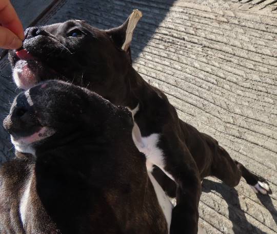 生き物ルーム第14