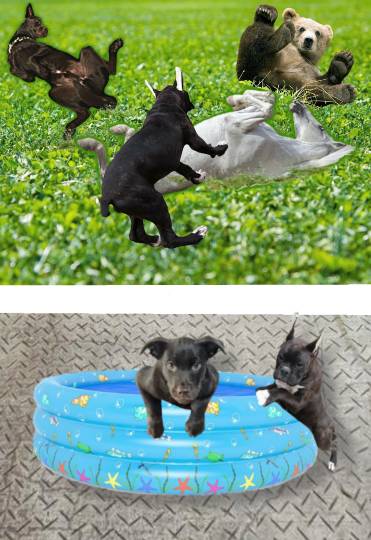 生き物ルーム第14