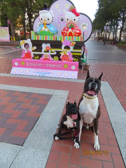 生き物ルーム第14