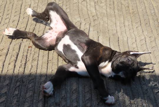 生き物ルーム第14