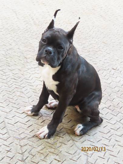 生き物ルーム第14