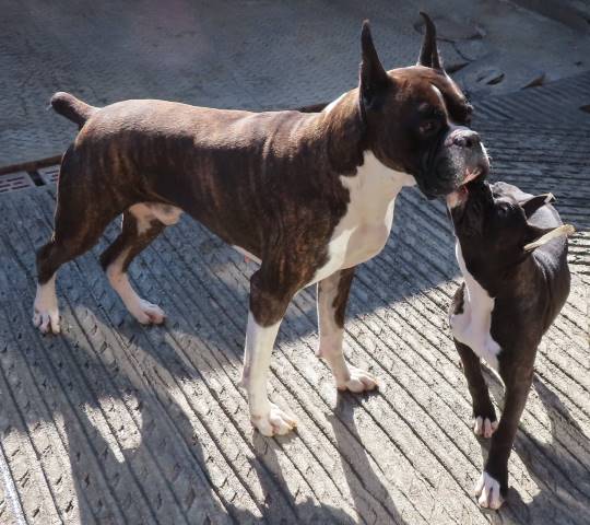 生き物ルーム第14