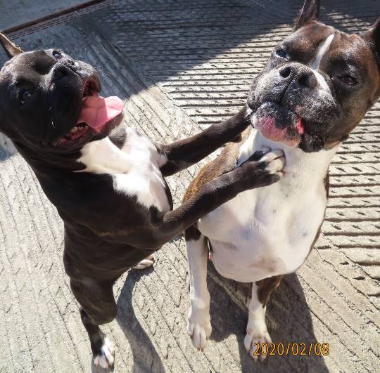 生き物ルーム第14