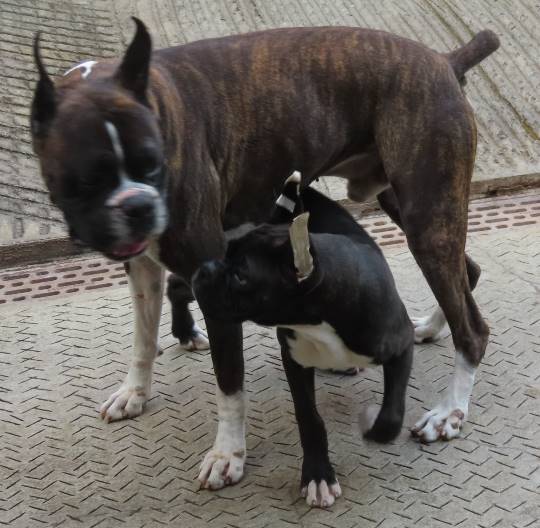 生き物ルーム第14