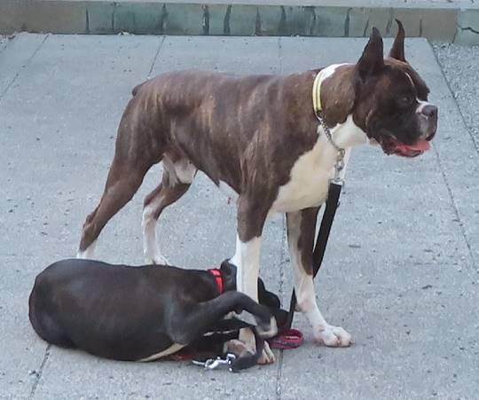 生き物ルーム第14