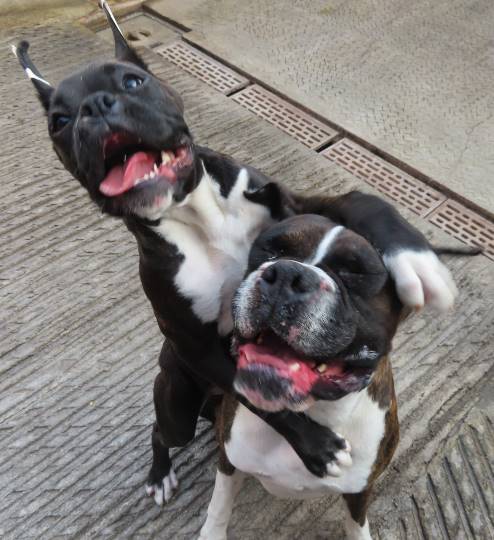 生き物ルーム第14