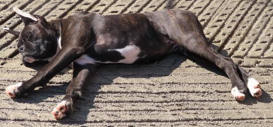 生き物ルーム第14