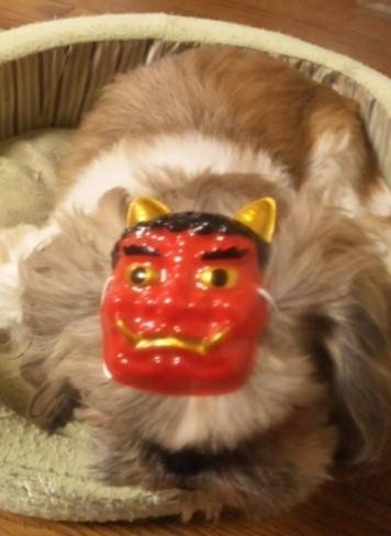 生き物ルーム第14