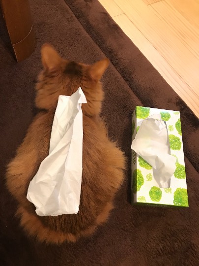 生き物ルーム第14