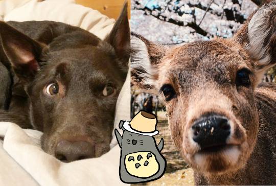 【スナックJINJIN】なんやかんやで２号店！　これからもどうぞご贔屓に(^^)　