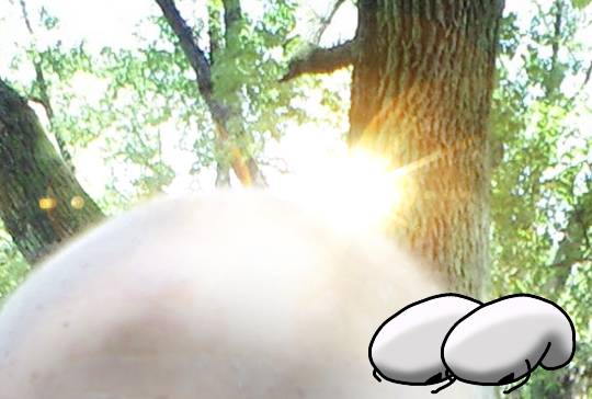 【スナックJINJIN】なんやかんやで２号店！　これからもどうぞご贔屓に(^^)　