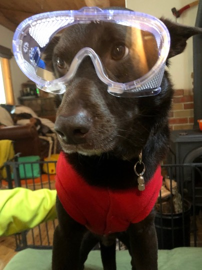 EGG'S CAFE支店『Wellness』4号店 健康・体調・ダイエット・更年・介護...