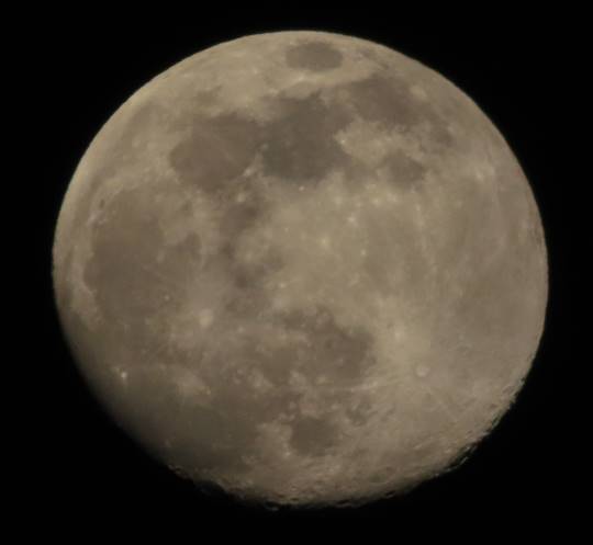 つぶやきトピ53  果てしなくお喋りは続く