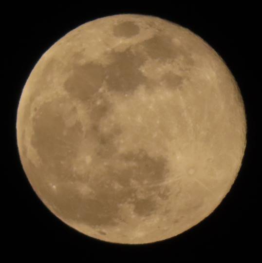 つぶやきトピ53  果てしなくお喋りは続く