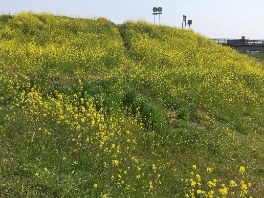 愛を込めてエアー花を、○○に～♪