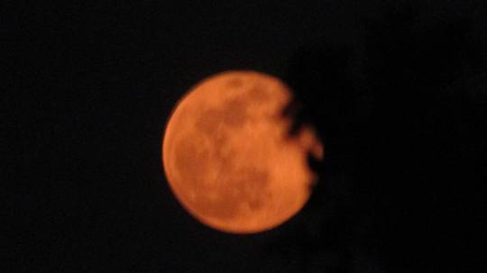 つぶやきトピ53  果てしなくお喋りは続く