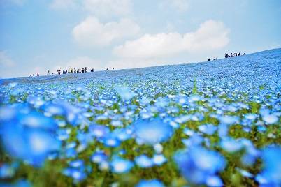 愛を込めてエアー花を、○○に～♪