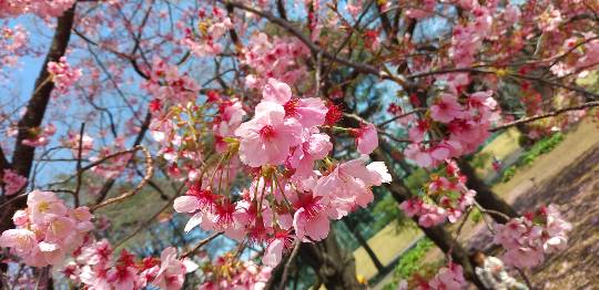 愛を込めてエアー花を、○○に～♪