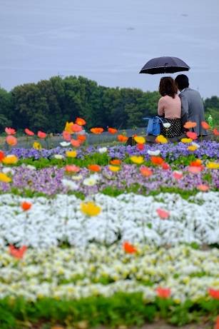 愛を込めてエアー花を、○○に～♪