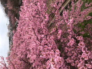 愛を込めてエアー花を、○○に～♪