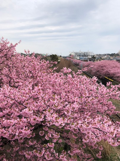 愛を込めてエアー花を、○○に～♪