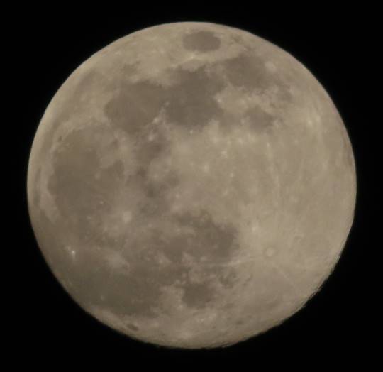 つぶやきトピ53  果てしなくお喋りは続く