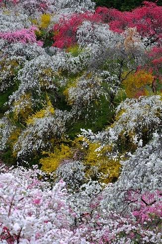 愛を込めてエアー花を、○○に～♪