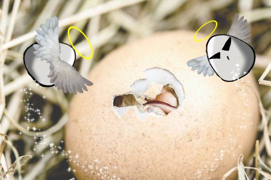 EGG'S CAFE支店『Wellness』4号店 健康・体調・ダイエット・更年・介護...