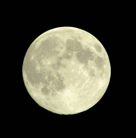 つぶやきトピ53  果てしなくお喋りは続く